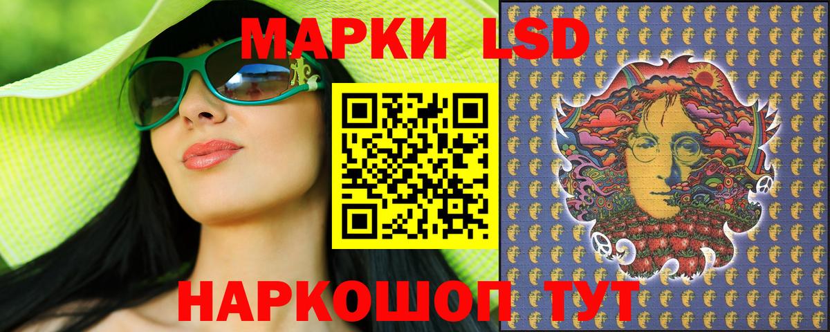 Псилоцибиновые грибы Кузнецк