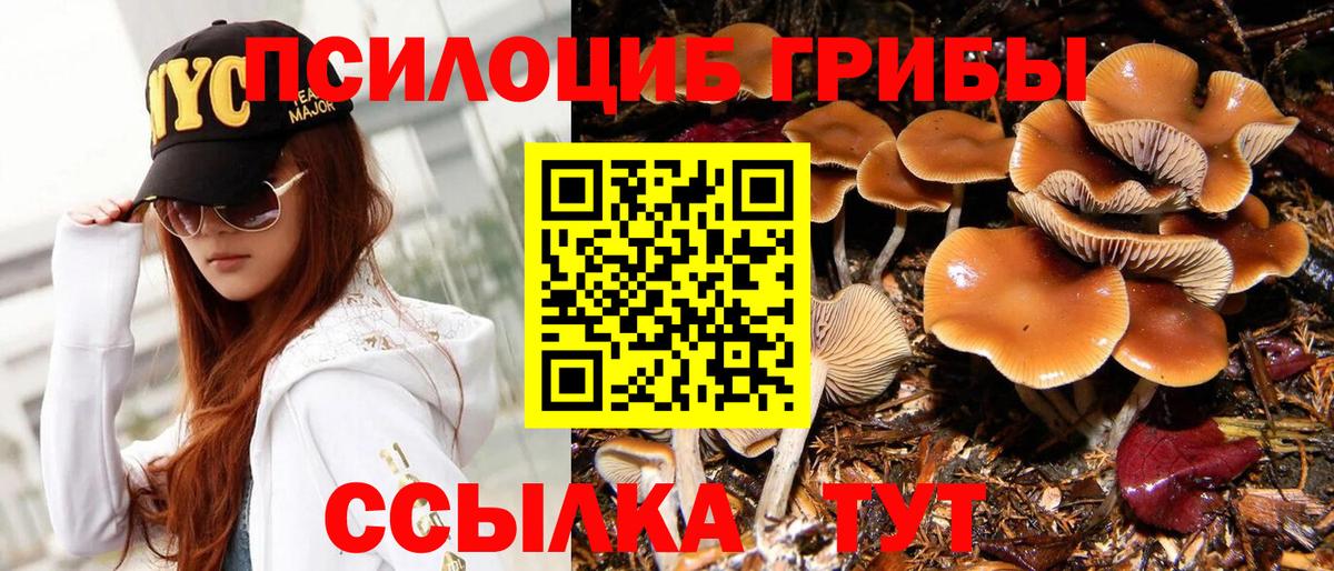 Галлюциногенные грибы ЛСД  Псилоцибиновые грибы мицелий  Кузнецк  Вход с VPN 