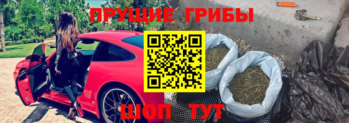 Галлюциногенные грибы Magic Shrooms Кузнецк